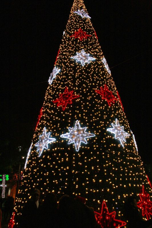 Portugal-arbol-navidad Portugal-arbol-navidad